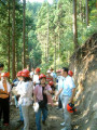 間伐材伐採体験ツアー　　2003年8月23日～24日