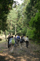 森林総合研究所関西支所 保育ルーム見学会　2009年5月23日